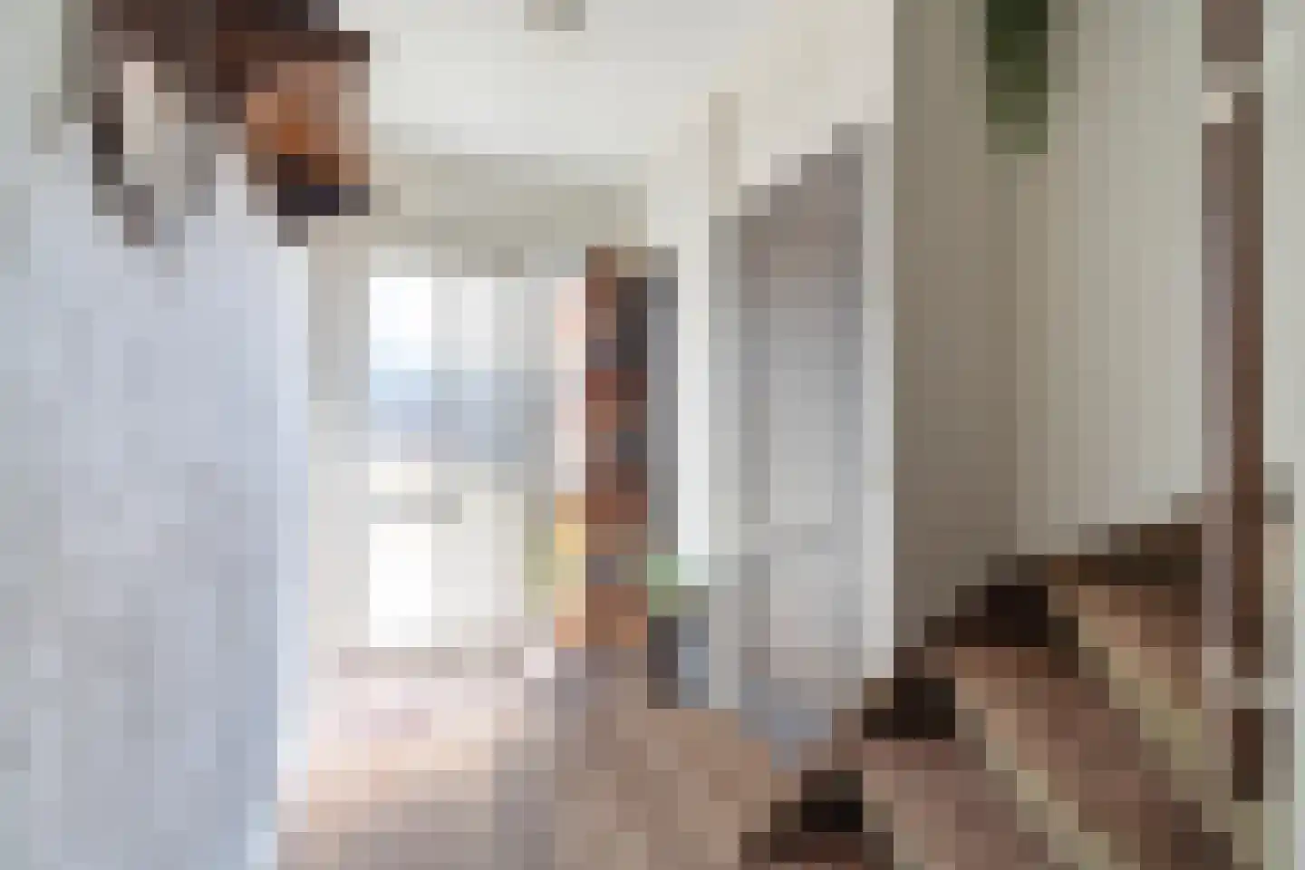 Hoge Gest 18 Den Oever thumbnail 6
