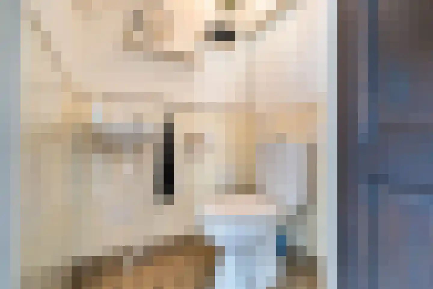 Hoge Gest 18 Den Oever thumbnail 7