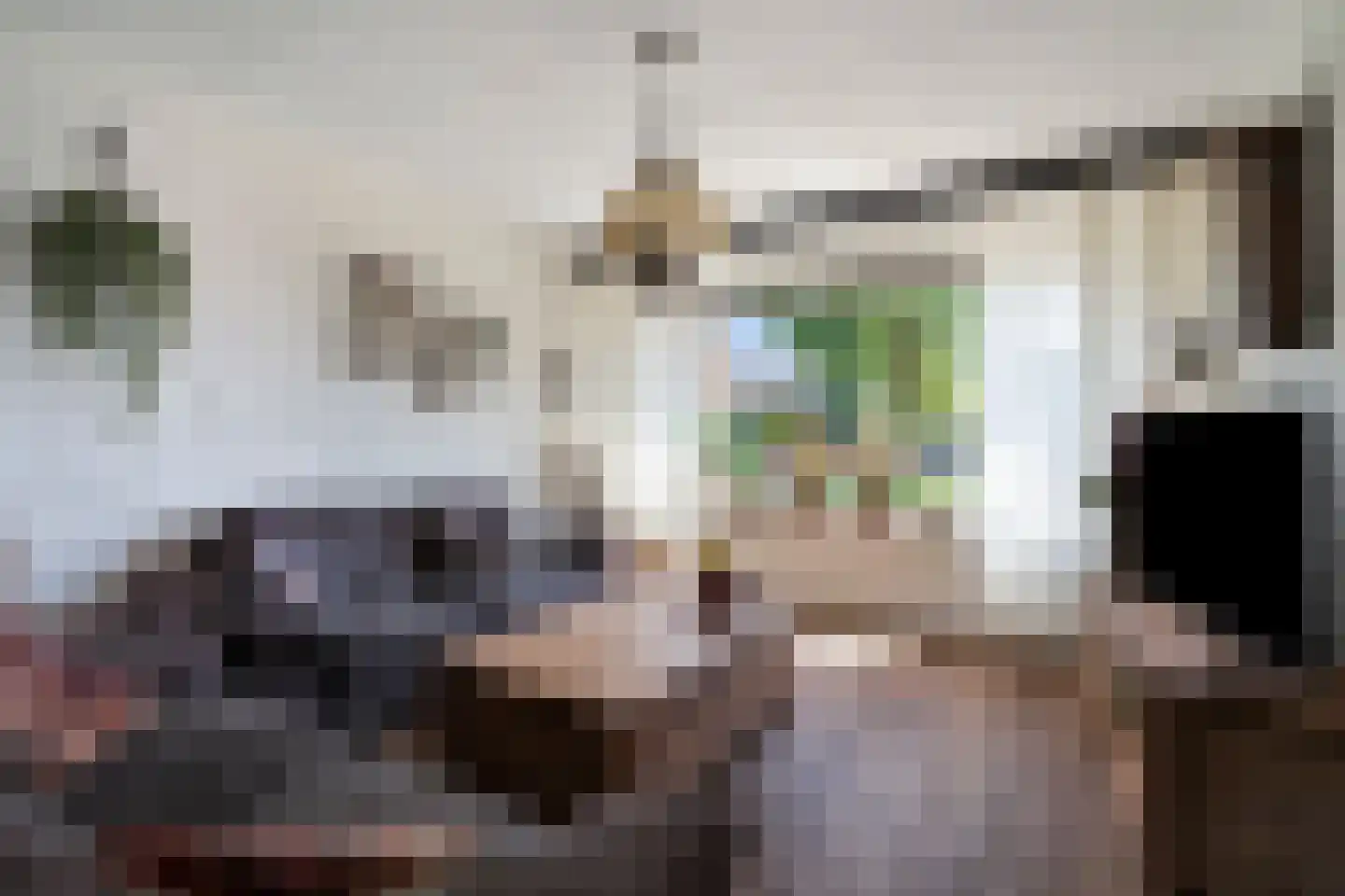 Hoge Gest 18 Den Oever thumbnail 8