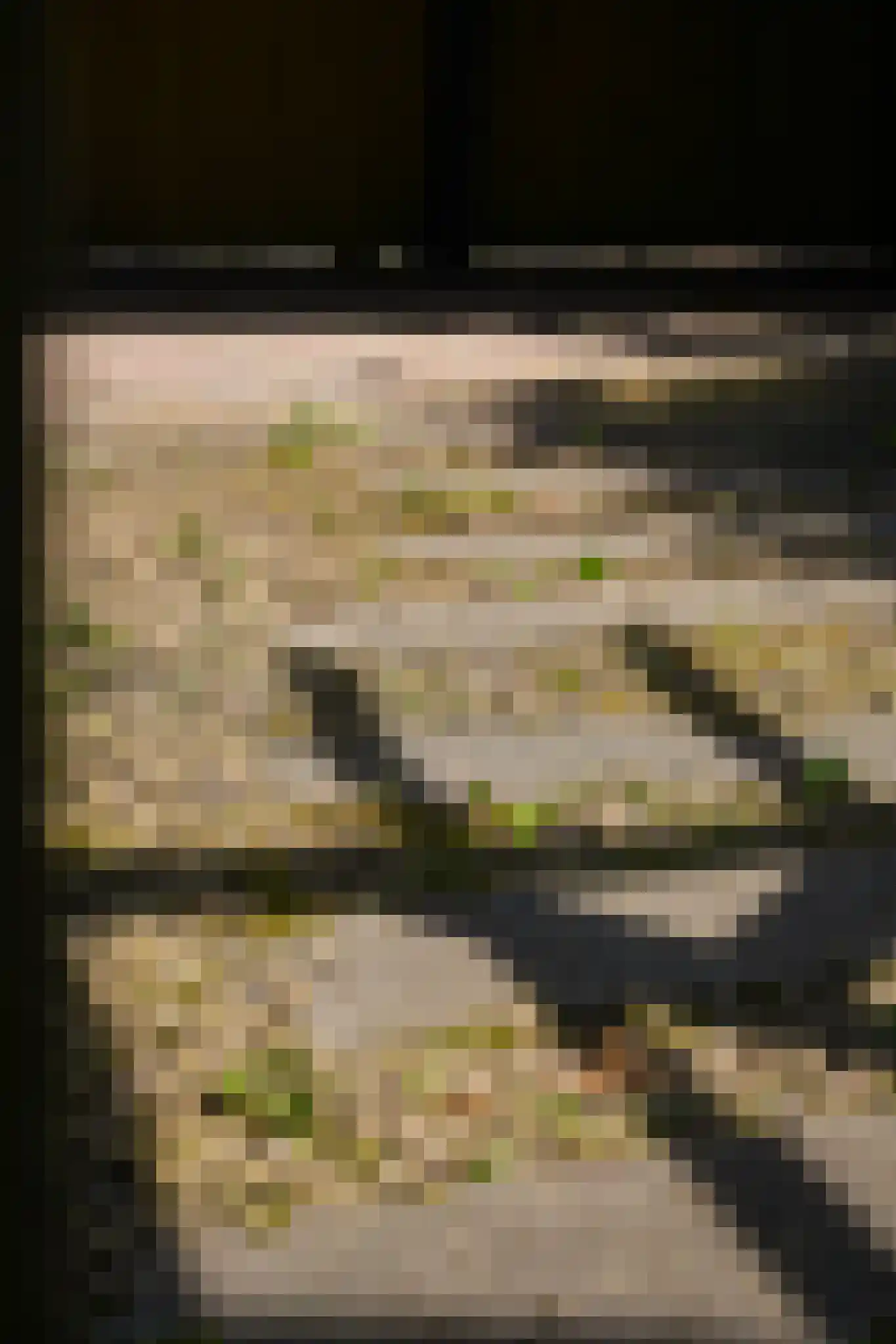 Hoge Giessen 25 Hoornaar thumbnail 25