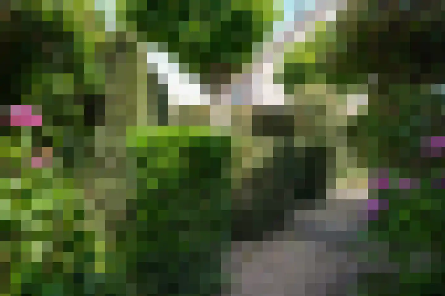 Hoge Giessen 25 Hoornaar thumbnail 29