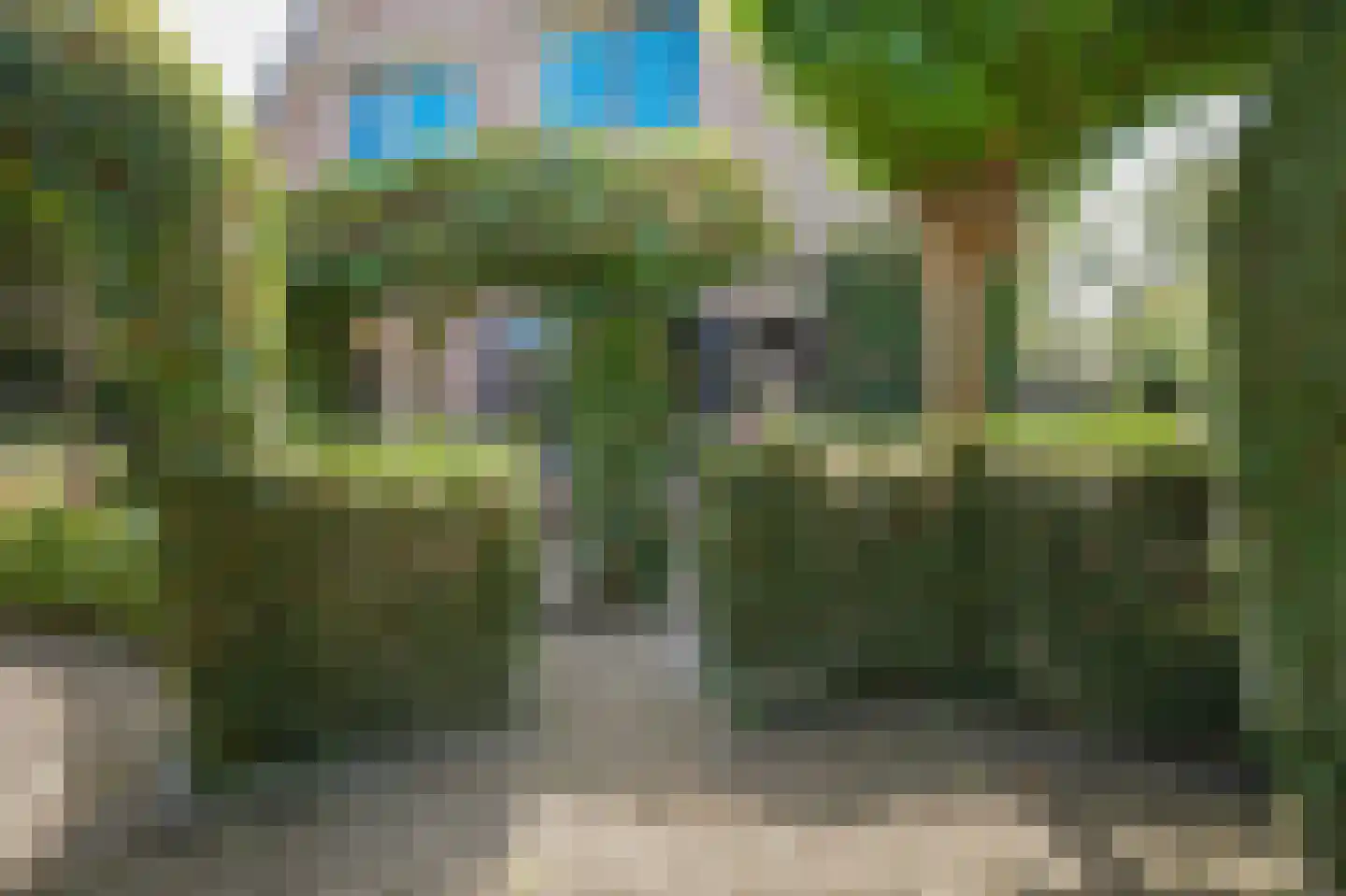 Hoge Giessen 25 Hoornaar thumbnail 30