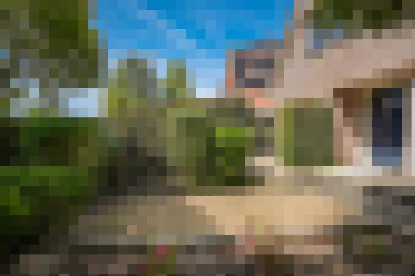 Hoge Giessen 25 Hoornaar thumbnail 31