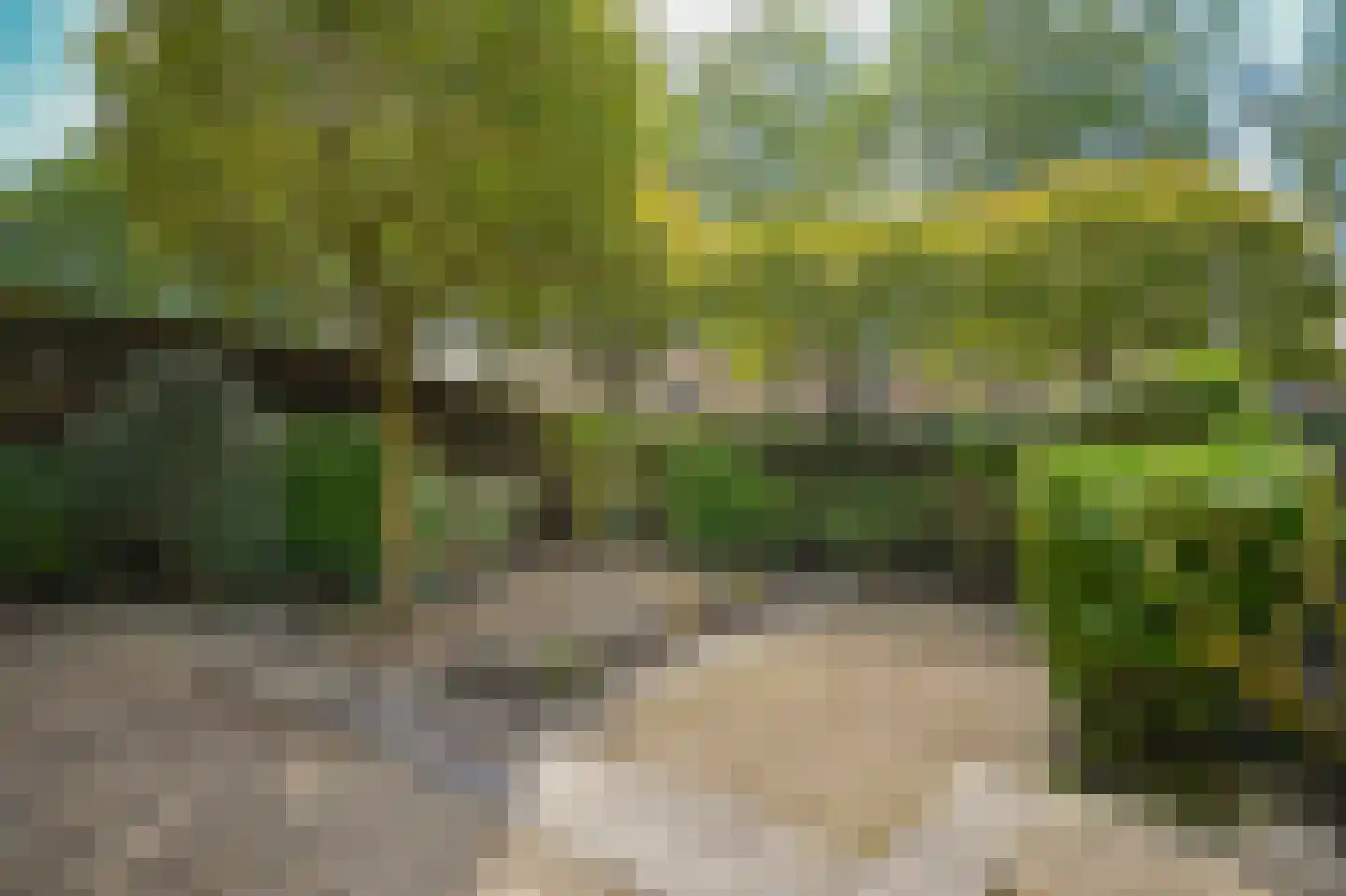 Hoge Giessen 25 Hoornaar thumbnail 32