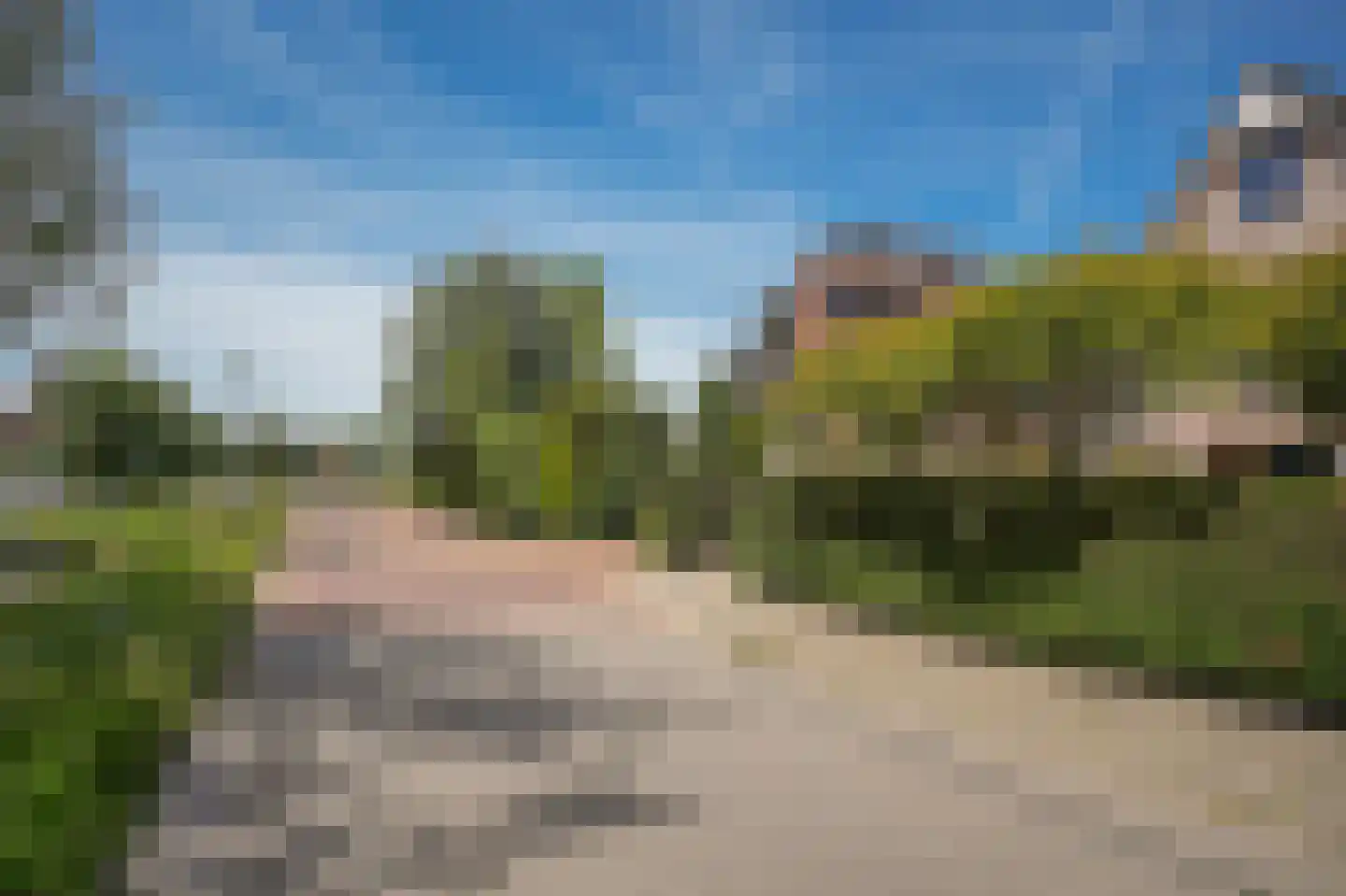 Hoge Giessen 25 Hoornaar thumbnail 34