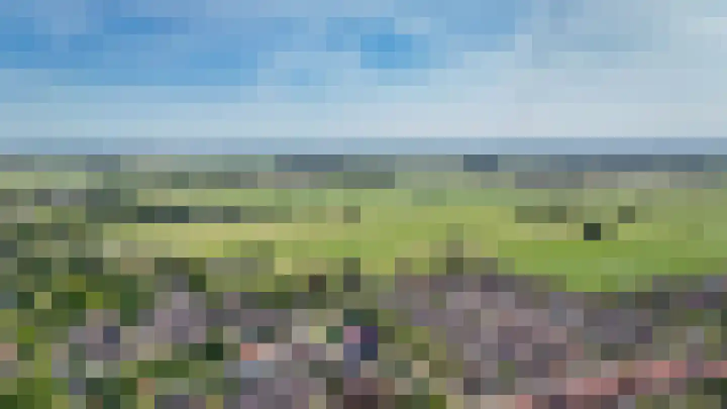 Hoge Giessen 25 Hoornaar thumbnail 38