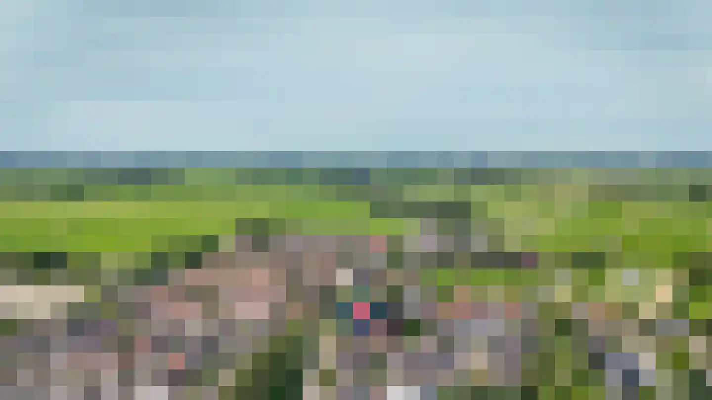 Hoge Giessen 25 Hoornaar thumbnail 39