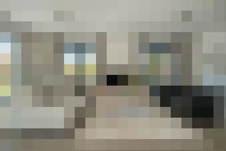 Hoge Gouw 63 Teteringen thumbnail 15