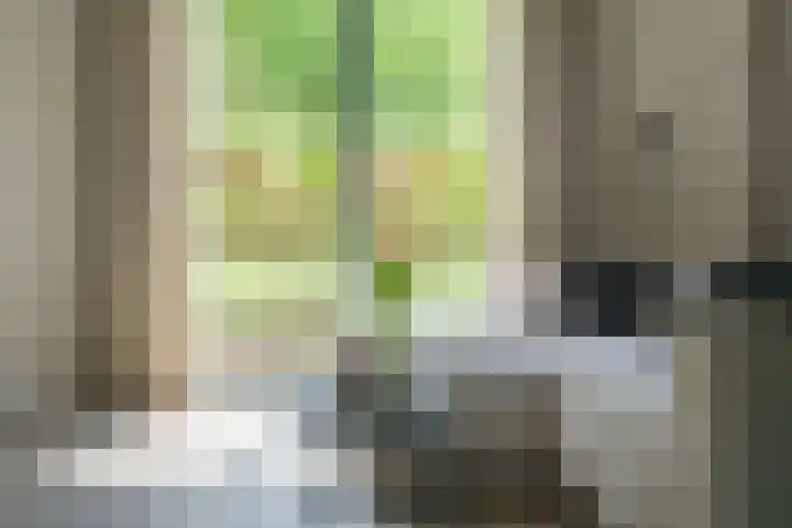 Hoge Gouw 63 Teteringen thumbnail 22