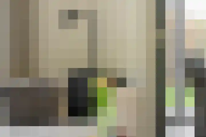 Hoge Gouw 63 Teteringen thumbnail 23