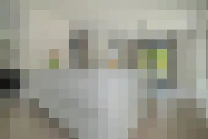Hoge Gouw 63 Teteringen thumbnail 25
