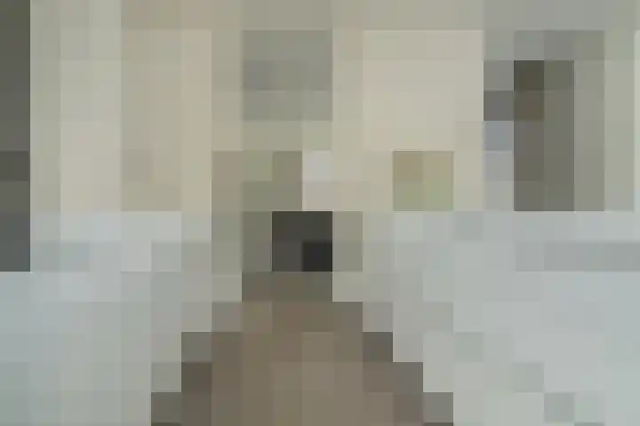 Hoge Gouw 63 Teteringen thumbnail 26
