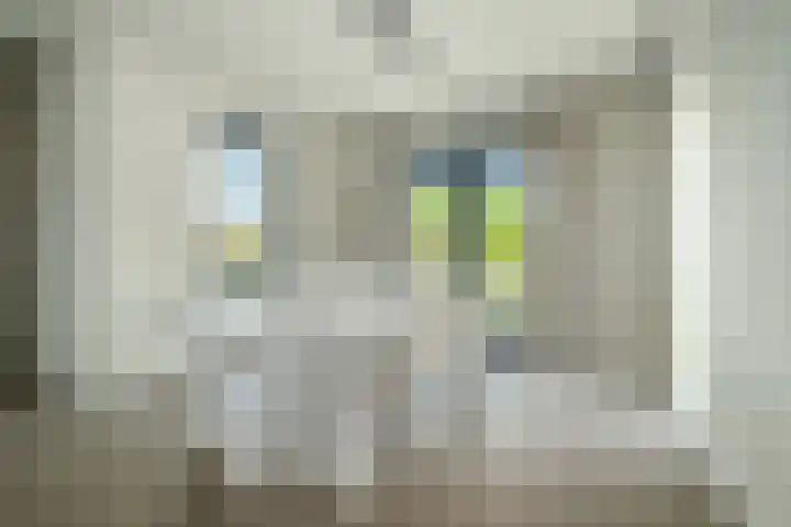 Hoge Gouw 63 Teteringen thumbnail 29