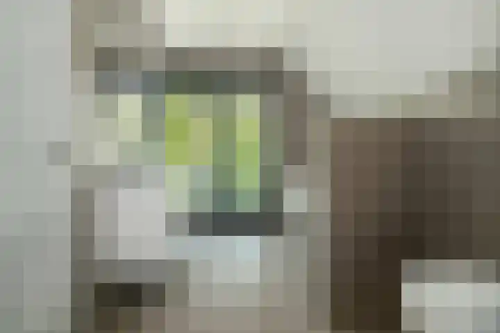 Hoge Gouw 63 Teteringen thumbnail 37