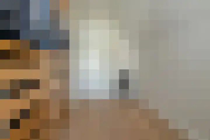 Hoge Gouw 63 Teteringen thumbnail 44