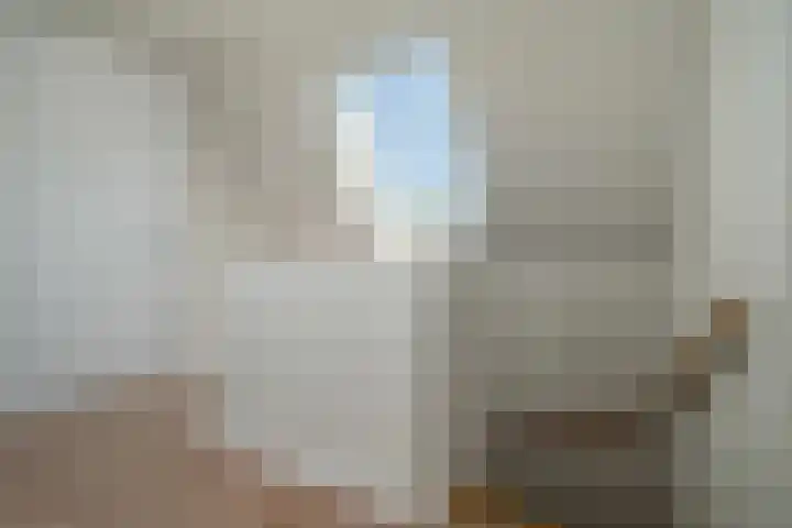 Hoge Gouw 63 Teteringen thumbnail 48