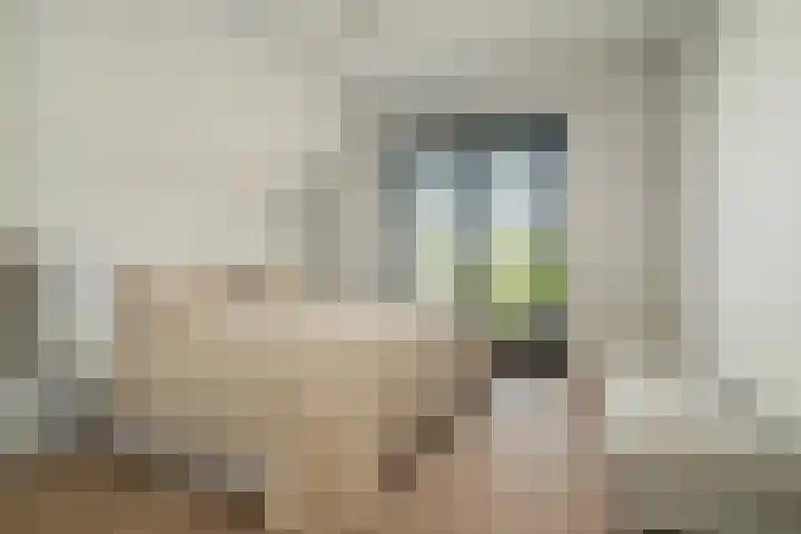 Hoge Gouw 63 Teteringen thumbnail 5