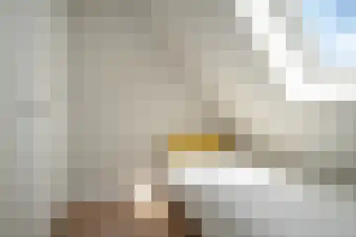 Hoge Gouw 63 Teteringen thumbnail 50