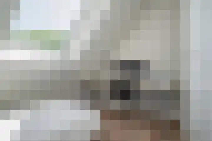 Hoge Gouw 63 Teteringen thumbnail 51