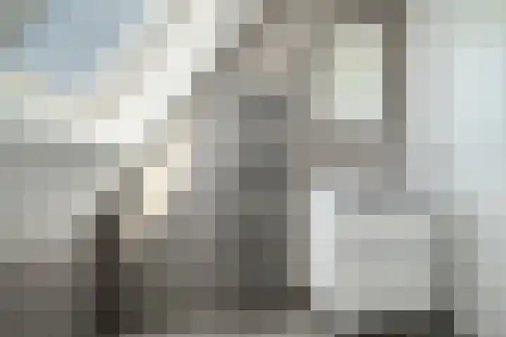 Hoge Gouw 63 Teteringen thumbnail 53