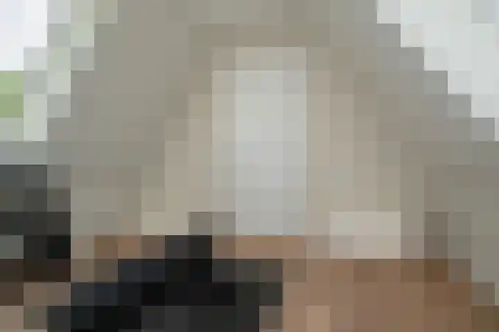Hoge Gouw 63 Teteringen thumbnail 55