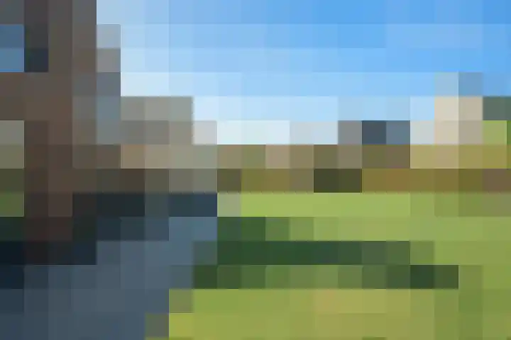 Hoge Gouw 63 Teteringen thumbnail 56