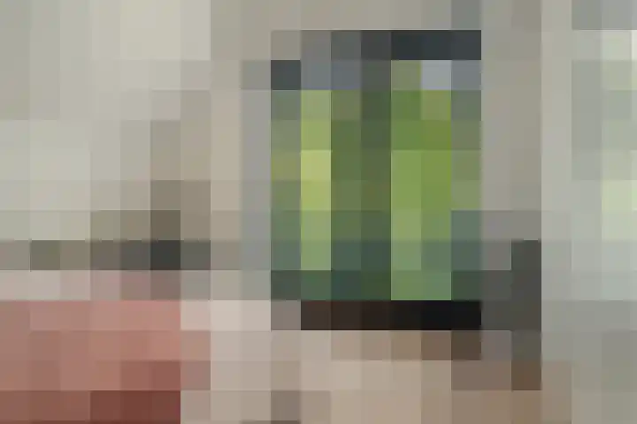 Hoge Gouw 63 Teteringen thumbnail 6