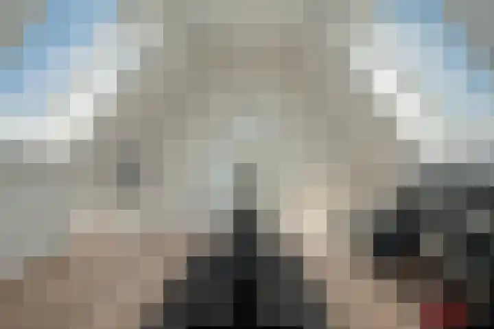 Hoge Gouw 63 Teteringen thumbnail 7