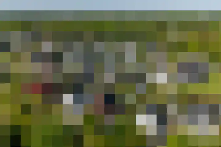 Hoge Gouw 63 Teteringen thumbnail 70