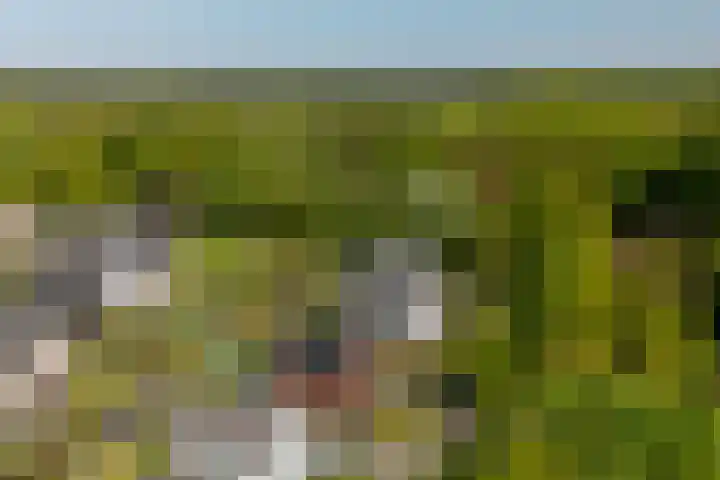 Hoge Gouw 63 Teteringen thumbnail 71