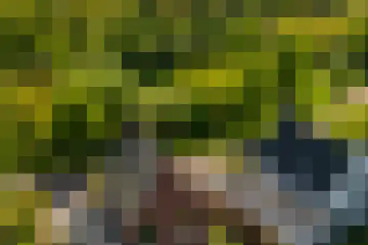 Hoge Gouw 63 Teteringen thumbnail 73