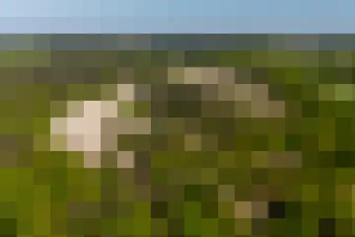 Hoge Gouw 63 Teteringen thumbnail 74