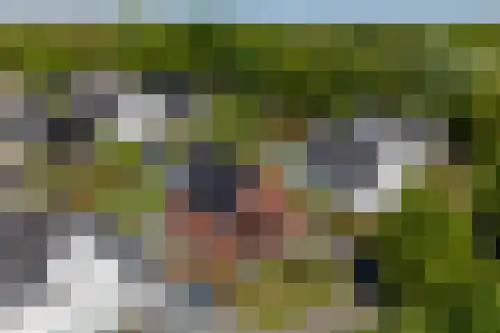 Hoge Gouw 63 Teteringen thumbnail 9