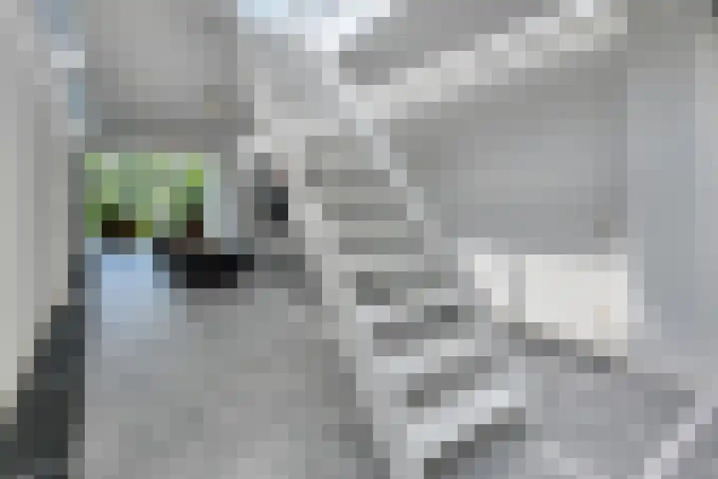 Hoge Gouwe 115 Gouda thumbnail 11