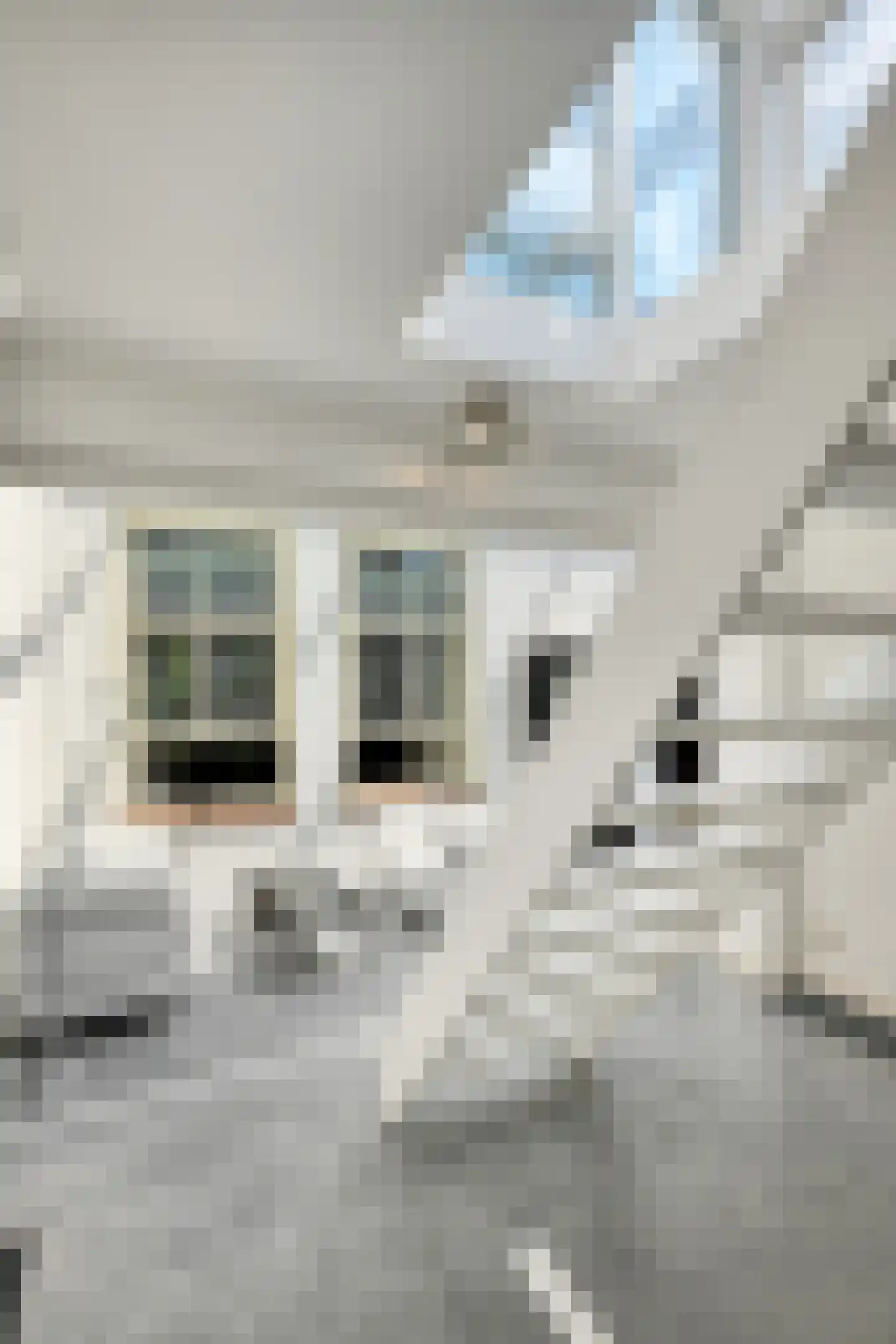 Hoge Gouwe 115 Gouda thumbnail 12