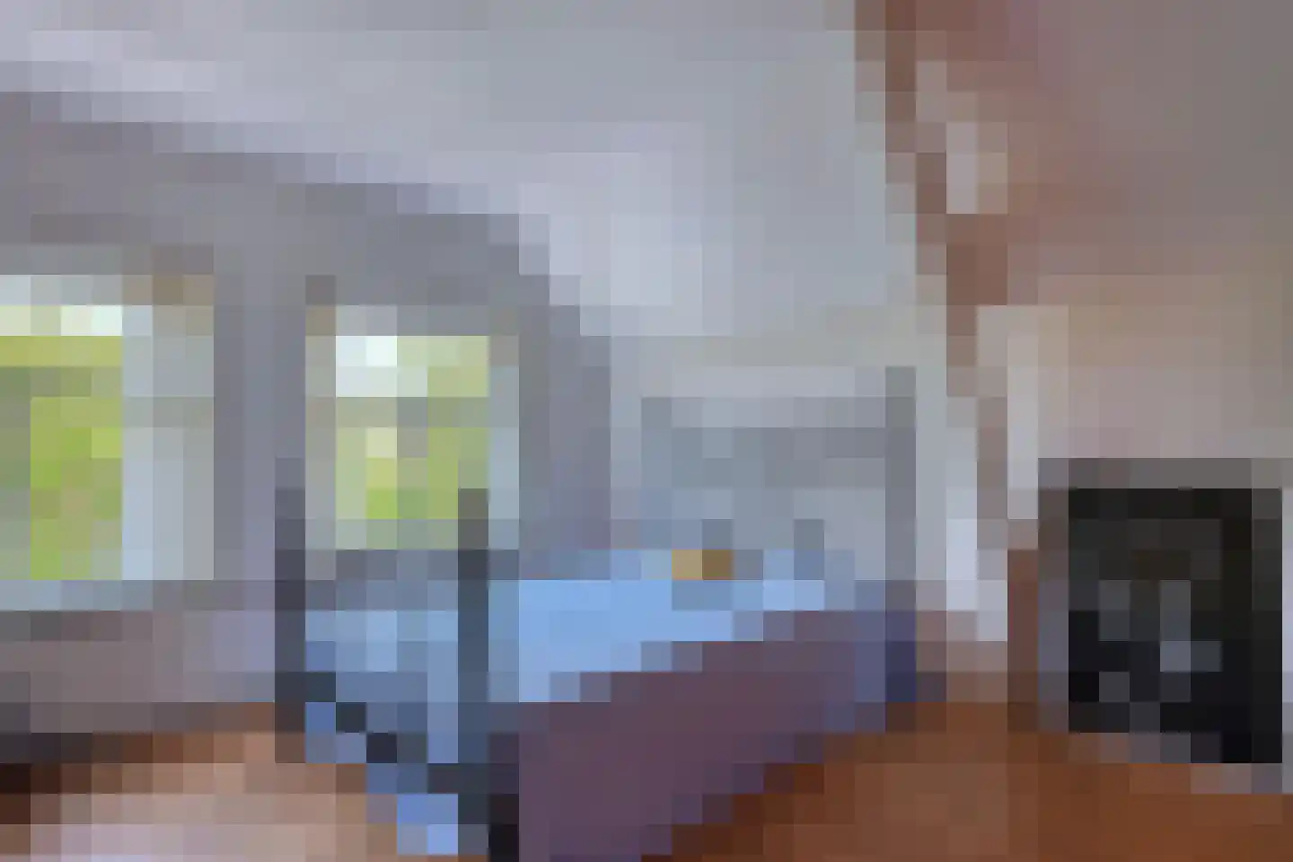 Hoge Gouwe 115 Gouda thumbnail 15
