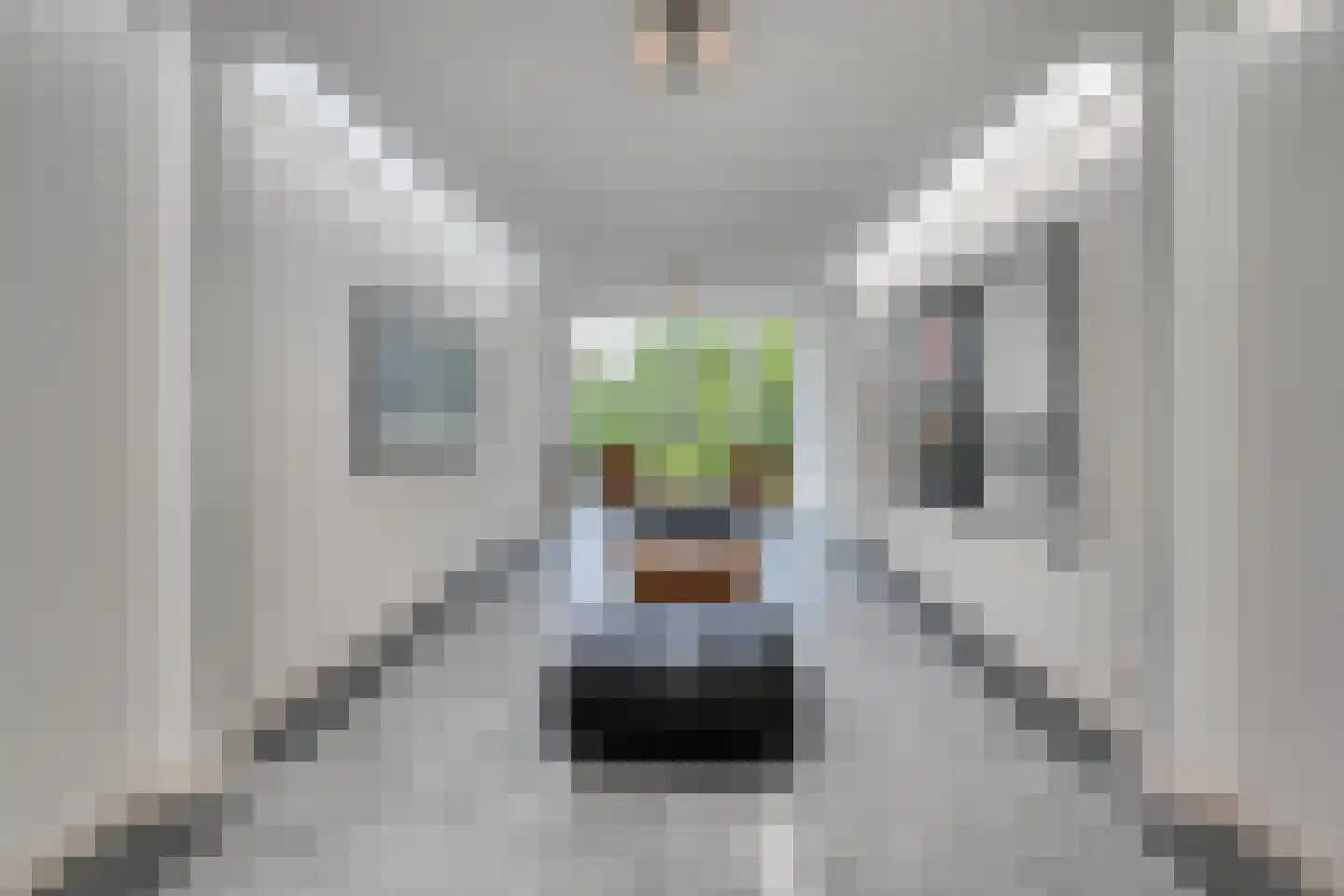 Hoge Gouwe 115 Gouda thumbnail 4