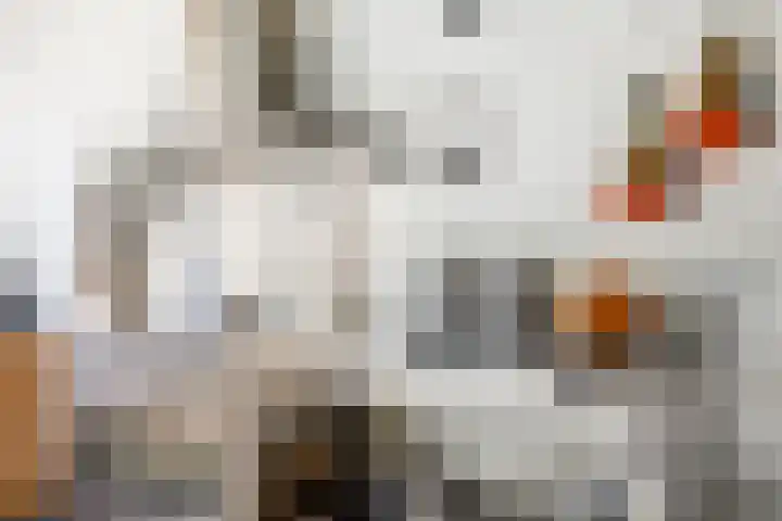 Hoge Gouwe 137 Gouda thumbnail 11