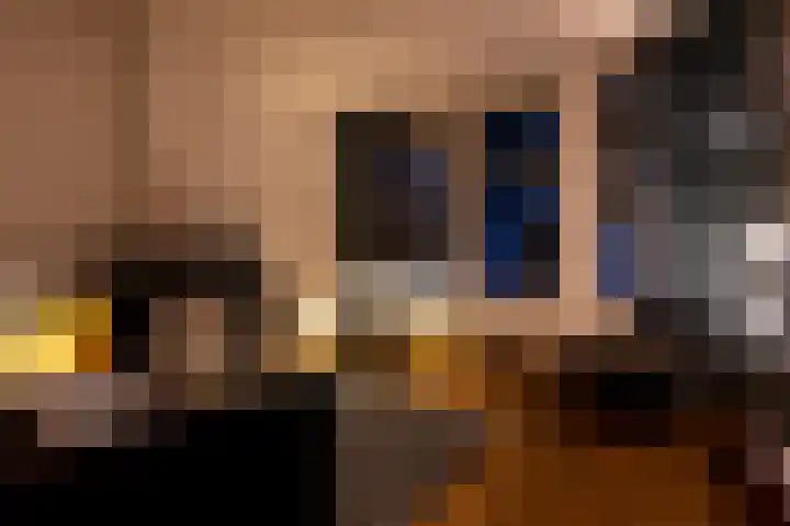 Hoge Gouwe 137 Gouda thumbnail 13