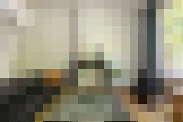 Hoge Gouwe 137 Gouda thumbnail 14