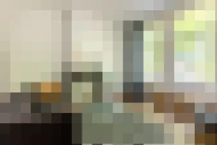 Hoge Gouwe 137 Gouda thumbnail 16
