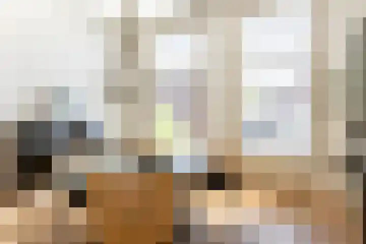 Hoge Gouwe 137 Gouda thumbnail 21