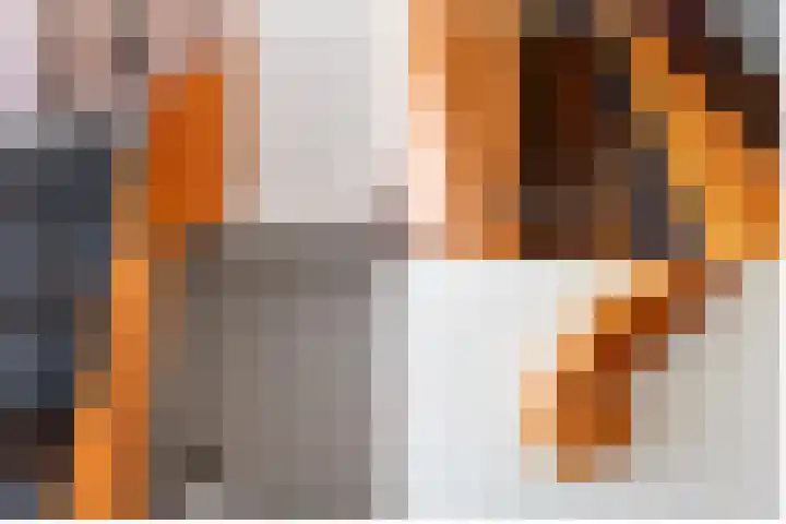 Hoge Gouwe 137 Gouda thumbnail 23