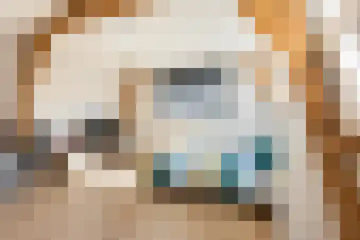Hoge Gouwe 137 Gouda thumbnail 26