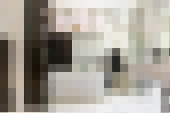 Hoge Gouwe 137 Gouda thumbnail 29