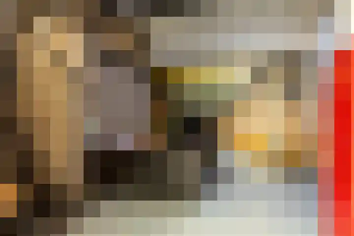 Hoge Gouwe 137 Gouda thumbnail 38