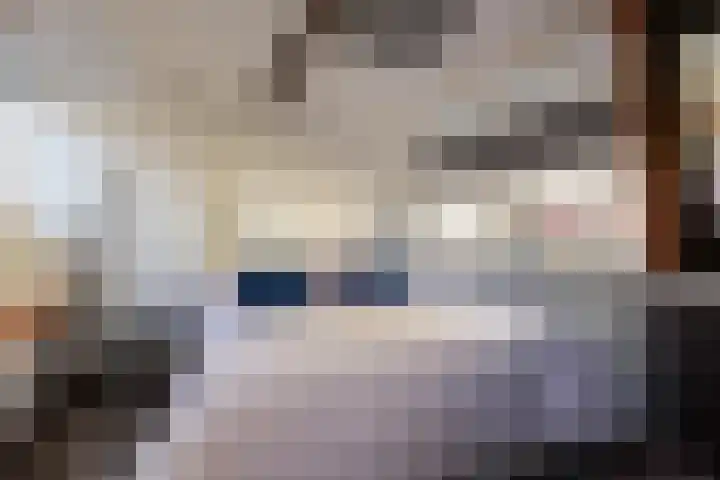 Hoge Gouwe 137 Gouda thumbnail 43