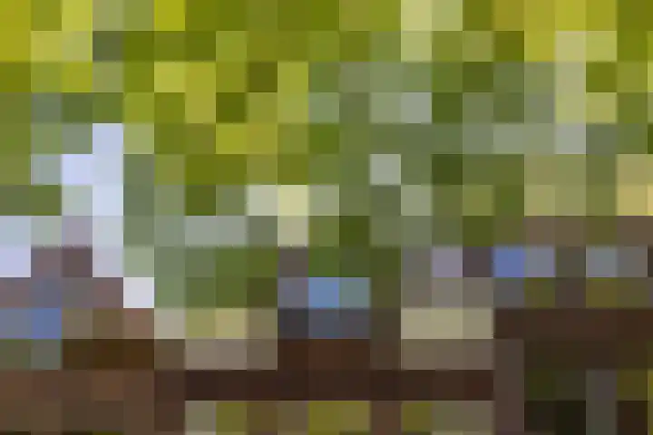 Hoge Gouwe 137 Gouda thumbnail 46