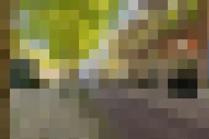 Hoge Gouwe 137 Gouda thumbnail 47