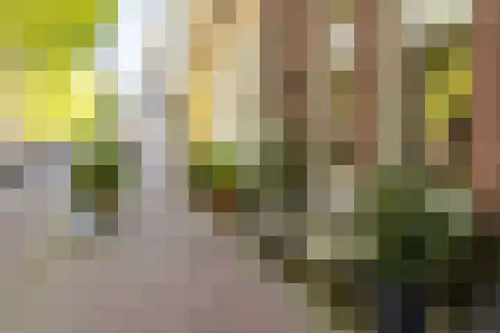 Hoge Gouwe 137 Gouda thumbnail 48